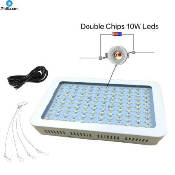 Tiết kiệm năng lượng LED LED tăng ánh sáng cho thủy canh