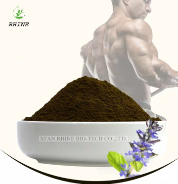 Ajuga Turkestanica Extract Turkesterone Powder