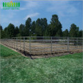 Hot Dipped Galvanized Horse Panels for Livestock