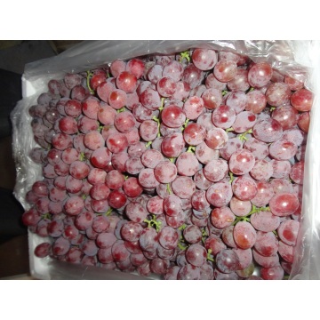 Export Quality Quality ya Fresh Grape Red