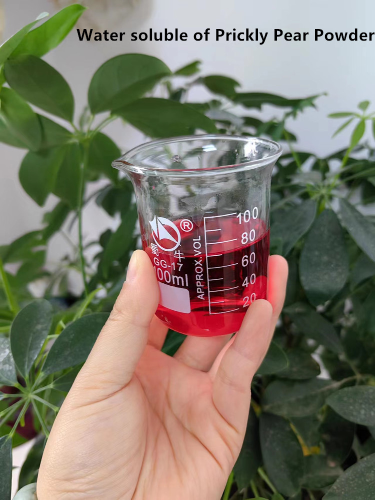 Water Soluble Prickly Pear Powder Water Soluble Prickly Pear Powder