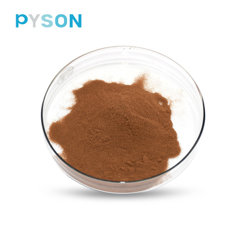 Cordyceps Mycélium Poudre 7% UV