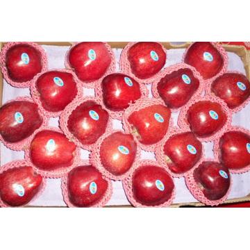 Red Delicious Huaniu Apple z najlepszą jakością