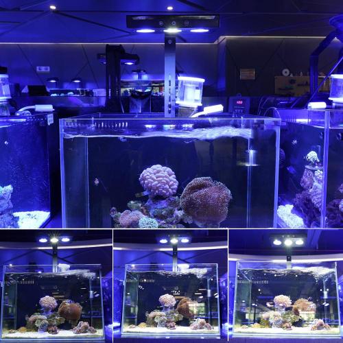 Led Aquarium Light for Aquarium Tank