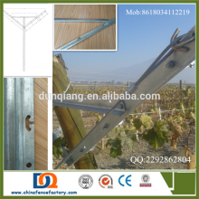 Hot dipped galvanized Steel grape vine open gable trellis stake