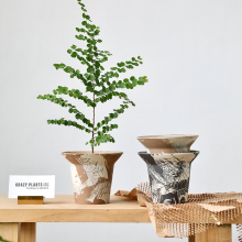 Nordic Unique Garden Home Outdoor Decor Pottery Bonsai Pot