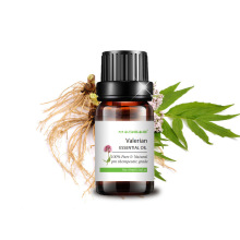 Best Selling pure aromatherapy grade valerian root essential oil