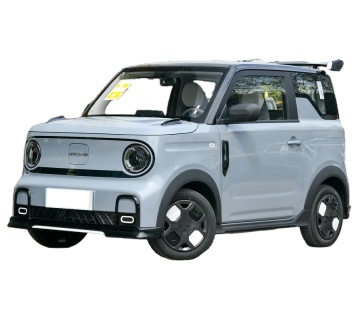 2024 Geely Panda 200KM Panda Kading New Electric Vehicle