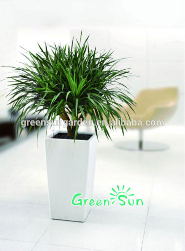 plastic indoor plant pot for home decor