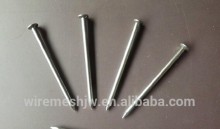 Common Wire Nail/Common Iron Wire Nail