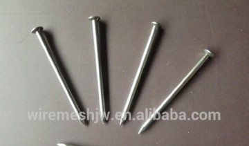 Common Wire Nail/Common Iron Wire Nail