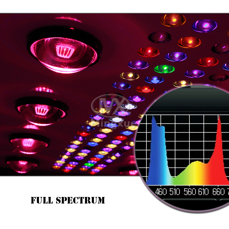 Full Spectrum