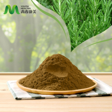 Natural Rosemary Extract for Anti Inflammatory Use