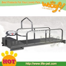 big dog treadmill