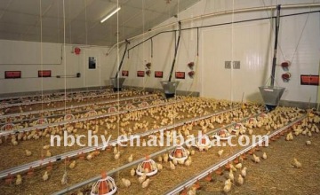 poultry automatic Farming Equipment