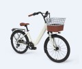 Lady Electric Bike 2 -Sitzer