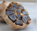 Gedroogde zwarte knoflook met antioxidanten