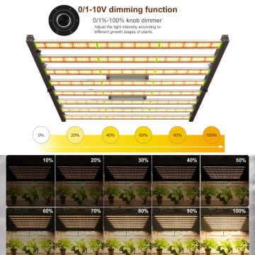 Alta PPFD Dimmable LED Grow Light 800W