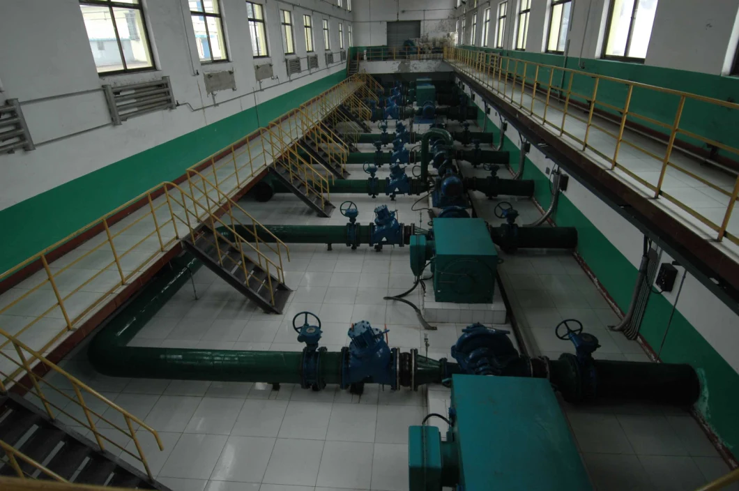 Clarified Water Sewage Lcpumps Fumigation Wooden Case Horizontal Mix Flow Pump