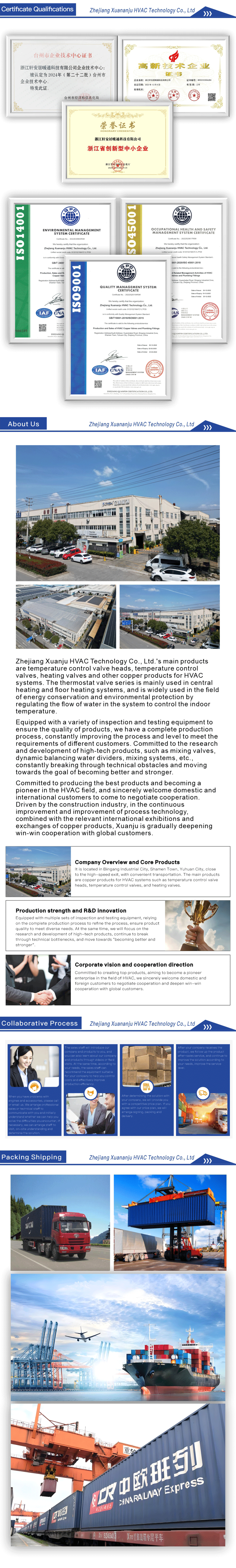 الصورة الرئيسية 003 Main image 003