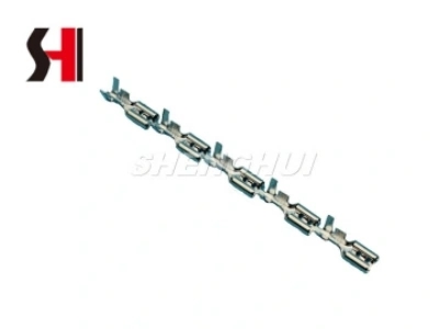 Nome padrão default name