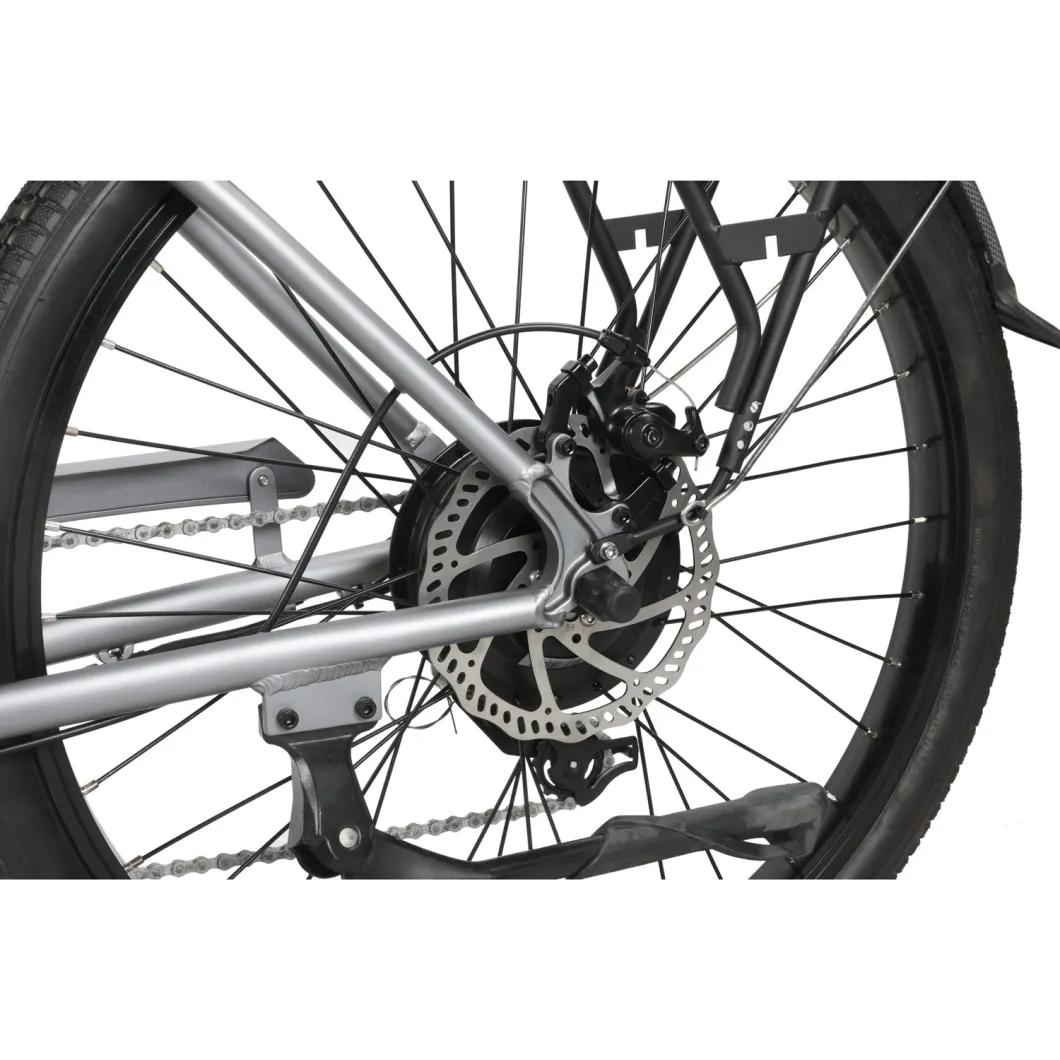 City Road Designed Electric Bicycle Shimano 7-Speed