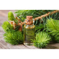 Harga grosir grosir minyak esensial cypress alami murni