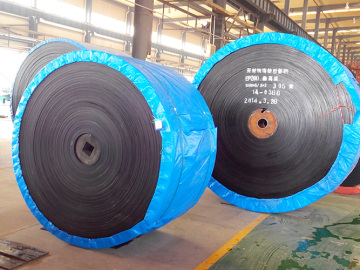 conveyor belt used in freezing area