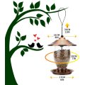 Bird Feeder with 3 lbs Seed Capacity