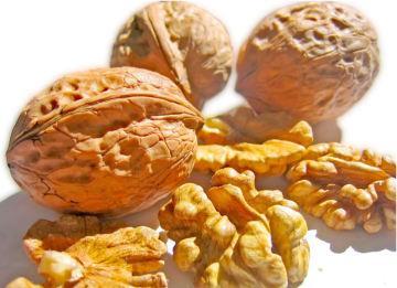 fresh walnut kernels for sale