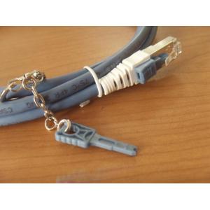 Security Locking Patch Cord Cat 6
