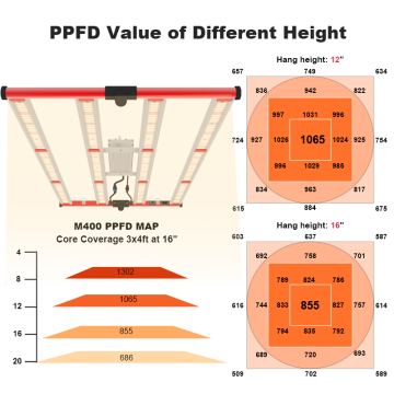 Shenzhen 400W Spektrum Penuh Hydroponia LED Grow Light