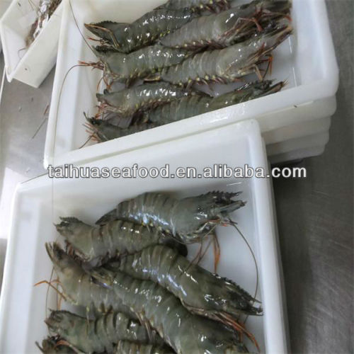 prawn best frozen great alaskan seafood