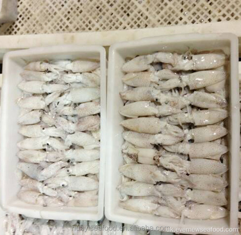 заморожені кальмари ліліго