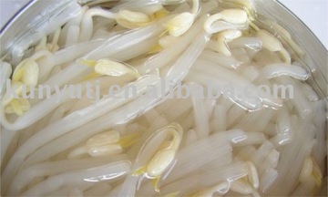 canned bean sprout