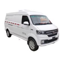 Mini New Energy Electric Refrigerator Truck