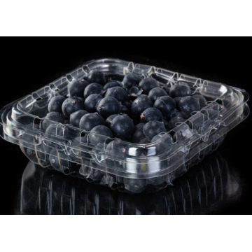 RPET Caixa de Blueberry para Embalagem de Blueberry