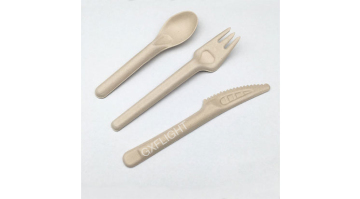 SUGARCANE PULP CUTLERY