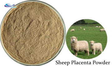 Anti Aging Ingredient Health Sheep Placenta Powder
