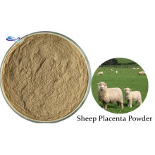 Anti Aging Ingredient Health Sheep Placenta Powder