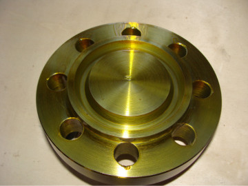 Forged stainless steel pipe flange