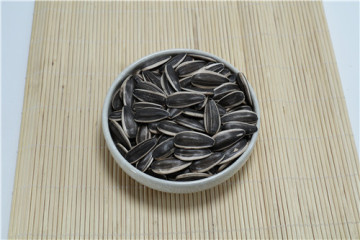 Sunflower seeds China Origin 363