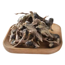 Delicious Cats and Dogs Eat Freeze Dried Quail