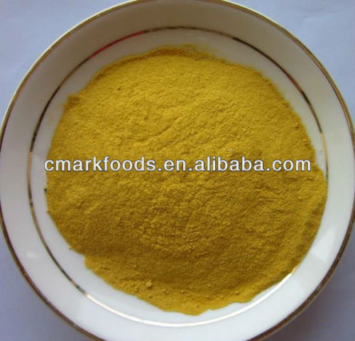 pumpkin powder,vegetable spices from china