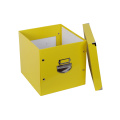 APEX Foldable Files Storage Bins with Lids Handle