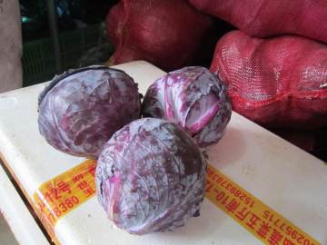 Fresh Purple Cabbage