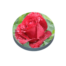 LED Round Video Display 384mm P2 Indoor Single Side Circle Screen