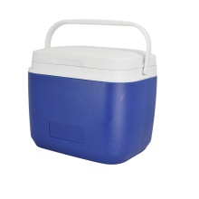  Cheap Plastic Cooler Boxes and Styrofoam Coolers for Sale - Dry Ice Boxes