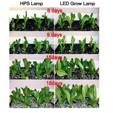 Planta de LED de florescência cresce luz