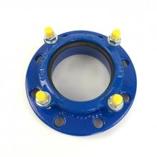 Universal flange adaptor GGG50